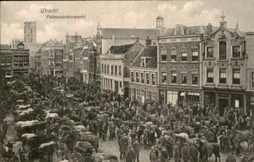 Utrecht - Palmpaardenmarkt beschikbaar voor biedingen