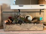 terrarium hamster 100x40x50, Dieren en Toebehoren, Knaagdieren en Konijnen | Hokken en Kooien, Gebruikt, 75 tot 110 cm, Ophalen