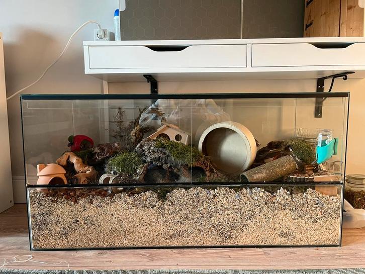 terrarium hamster 100x40x50, Dieren en Toebehoren, Knaagdieren en Konijnen | Hokken en Kooien, Gebruikt, Hok, Minder dan 60 cm