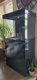 Aquatlantis aquarium 210 liter (incl. kast), Ophalen, Gebruikt, Leeg aquarium