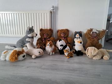 Knuffel Dieren Collectie knuffels pakket partij beschikbaar voor biedingen