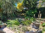 Planten en Stenen, Ophalen
