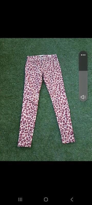 Scotch & Soda Broek Para Dice, Maat 27/32 beschikbaar voor biedingen