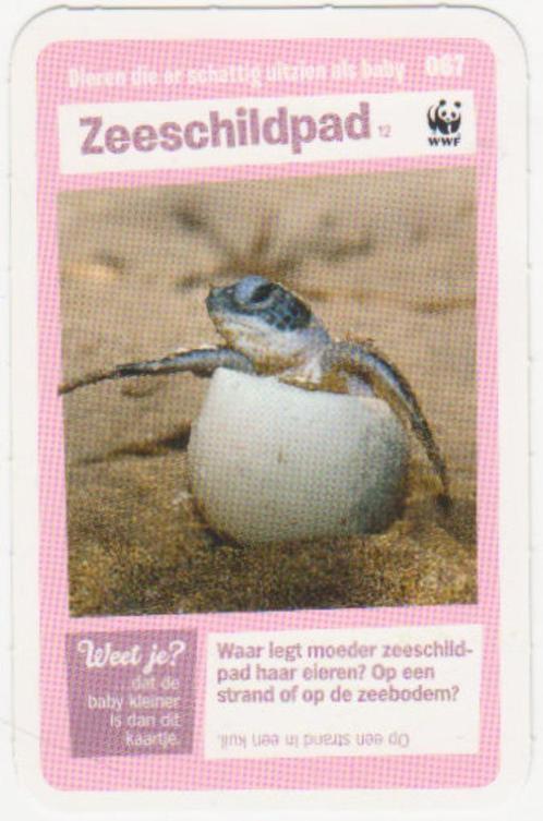 Super dieren no.67 Zeeschildpad [2707]  [VeOvSu], Verzamelen, Supermarktacties, Albert Heijn, Ophalen of Verzenden