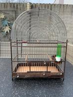 Surinaamse Vogelkooi twa twa, Dieren en Toebehoren, Ophalen of Verzenden, Gebruikt, Metaal, Vogelkooi