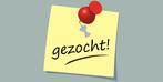 Leuk  bijrijdpaardje gezocht, Ophalen, Zo goed als nieuw, Dressuur
