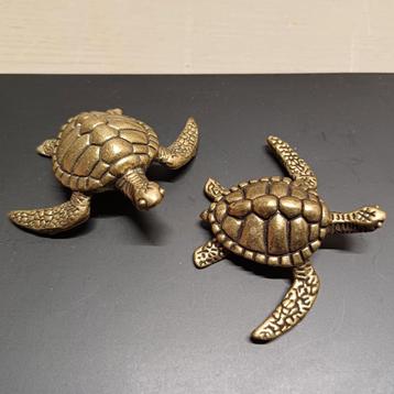 ZEESCHILDPAD ZEESCHILDPADDEN  beschikbaar voor biedingen