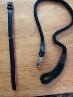 Aangeboden, Hondenriem+halsband, Ophalen of Verzenden, Zo goed als nieuw