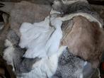 Konijnenvachtjes €10 per stuk, Ophalen of Verzenden, Zo goed als nieuw, Boerderijdier, Overige typen