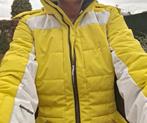 Zwart/ gele Icepeak dames ski- jas Maat 38, Ophalen, Zo goed als nieuw, Maat 38/40 (M), Jack