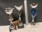 Trofeeën/wedstrijdbekers/sportprijzen/bokalen, set 35, Ophalen of Verzenden, Gebruikt