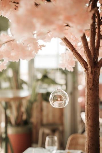 Verschillende decoratie voor bruiloft beschikbaar voor biedingen