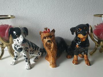 Diverse porseleinen honden 