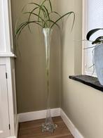 Hoge vaas, Ophalen, Overige kleuren, 75 cm of meer, Glas