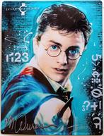 Metalen Wandbord – Harry Potter "Celebrity Icons" Collectie, Ophalen of Verzenden, Nieuw