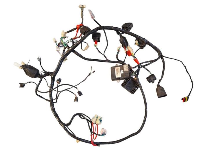 Kabelboom delphi ecu origineel AGM VX50 injectie, Fietsen en Brommers, Brommeronderdelen | Scooters, Gebruikt, Ophalen of Verzenden