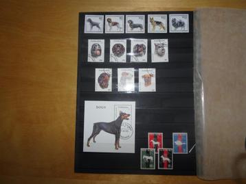 Honden op postzegels beschikbaar voor biedingen