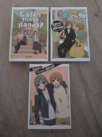 Catch These Hands 1-3 (Engels) (manga), Meerdere comics, Ophalen of Verzenden, Zo goed als nieuw, Japan (Manga)