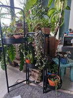 Uitschuifbaar kastje/ tafeltje /planten en/ofnstekjes rek., Huis en Inrichting, Ophalen, Zo goed als nieuw