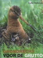 Halbe Hettema Grondrecht voor de grutto, Ophalen of Verzenden, Zo goed als nieuw, Vogels