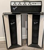 Fender PA 135 1979 Silverface - Zeldzaam!, Ophalen, Gebruikt, Gitaar, 100 watt of meer