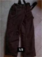 Dames skibroek maat S kleur bruin maui and sons., Broek, Ophalen of Verzenden, Zo goed als nieuw, Maat 36 (S)