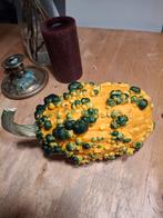 Uit de biologische moestuin: Calebas, zaden., Ophalen of Verzenden, Voorjaar, Volle zon, Zaad