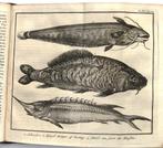 Salmon 1736-7 Tegenwoordigen Staat van t Duitsche Keizerryk, Ophalen of Verzenden