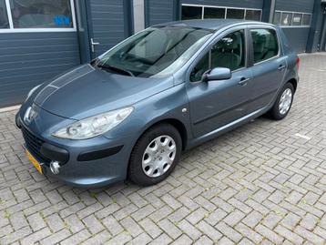 Peugeot 307 1.6 16V Accent 5DR 2006 nieuwe apk AIRCO beschikbaar voor biedingen