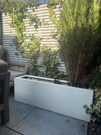 2 voor de prijs van 1: Polyester Plantenbakken, Kunststof, Gebruikt, 100 cm of meer, Balkon