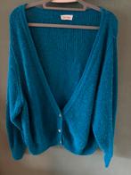 American Vintage vest, Kleding | Dames, Truien en Vesten, Blauw, Maat 42/44 (L), Ophalen of Verzenden, Zo goed als nieuw