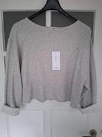 Nieuw met kaartjes, Kodytown sweatshirt van American Vintage, American Vintage, Verzenden, Nieuw, Grijs
