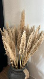 Droogbloemen, Ophalen of Verzenden, Zo goed als nieuw