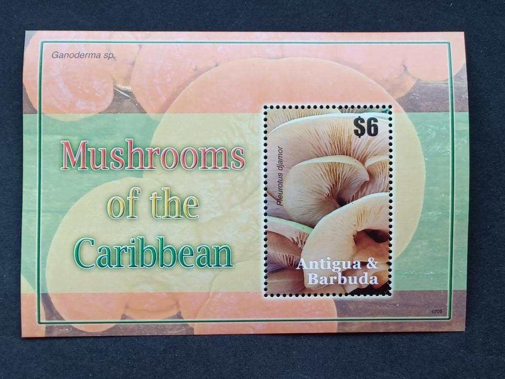 Postzegels Paddenstoelen - Antigua & Barbuda, Ophalen of Verzenden, Postfris, Overige thema's
