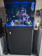 (Zoutwater) aquarium 140L, Ophalen, Zo goed als nieuw, Leeg aquarium