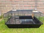 Hamsterkooi, Dieren en Toebehoren, Knaagdieren en Konijnen | Hokken en Kooien, Minder dan 60 cm, Kooi, Gebruikt, Minder dan 75 cm