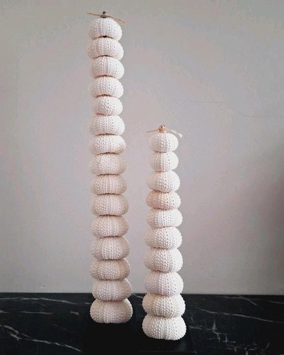 Gave set echte natuurlijke zeeegels op voet japandi chic, Verzamelen, Mineralen en Fossielen, Ophalen of Verzenden