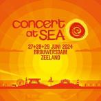 Concert at Sea Friday tickets 2x, Twee personen