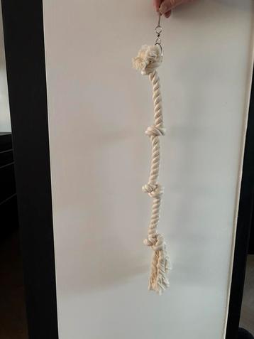 Papegaai/vogel speeltouw beschikbaar voor biedingen