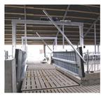 Te koop gevraagd voergangbrug, Dieren en Toebehoren, Januari, Meerdere dieren