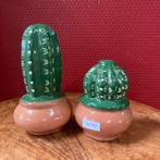 Peper en zoutstel cactus, Antiek en Kunst, Ophalen of Verzenden