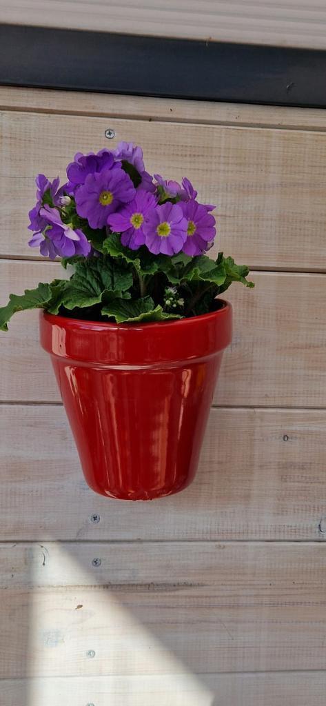 Handgemaakte Spaanse hangpot - Andalusië rood, Tuin en Terras, Bloempotten, Nieuw, Aardewerk, Binnen, Minder dan 40 cm, Minder dan 25 cm
