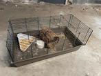 Dierenkooi cavia konijn, Kooi, Gebruikt, 75 tot 110 cm, Cavia