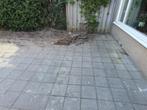 Ongeveer 21 m2 aan GRATIS stoeptegels!, Tuin en Terras, Tegels en Klinkers, Ophalen, Gebruikt, 10 m² of meer, Beton