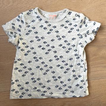 HEMA shirtje met visjes - mt 68 beschikbaar voor biedingen