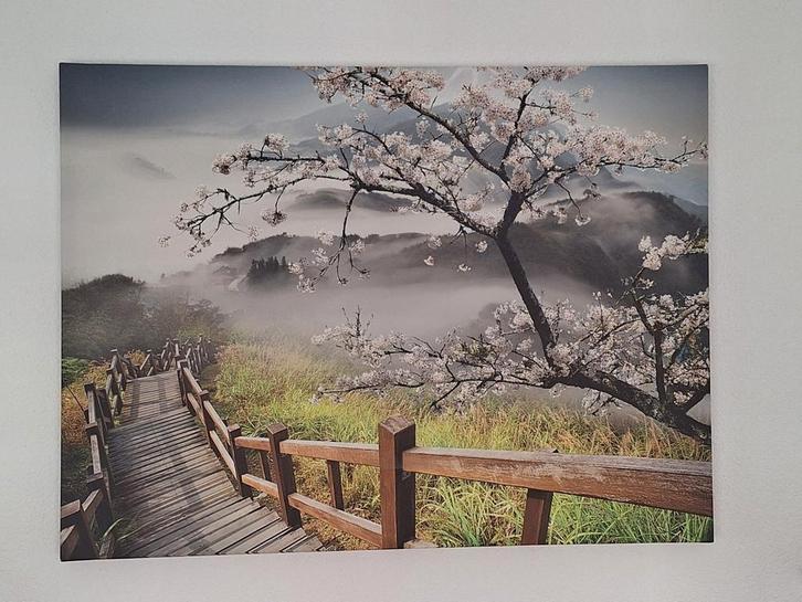 canvasprint van een  landschap, Huis en Inrichting, Woonaccessoires | Schilderijen, Tekeningen en Foto's, Zo goed als nieuw, Schilderij