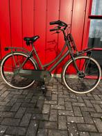 Cortina U4 Transportfiets - 7 versnellingen, nieuwe banden, Fietsen en Brommers, Fietsen | Heren | Herenfietsen, Ophalen of Verzenden