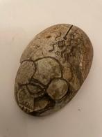 Vintage stenen presse-papier | scarabee | 1950-1999, Ophalen of Verzenden