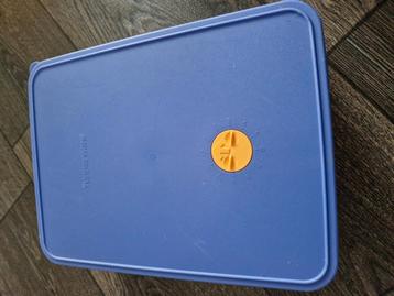 Tupperware, bewaar/vriesdoos  beschikbaar voor biedingen