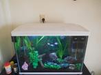 mooie gevulde en complete superfish start 100 met visjes, Ophalen, Gebruikt, Gevuld zoetwateraquarium